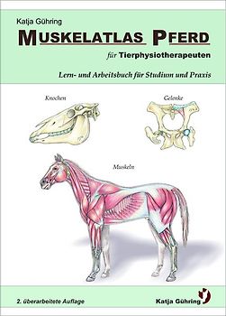 Muskelatlas Pferd