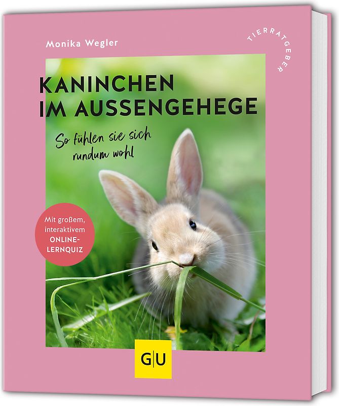Kaninchen im Außengehege