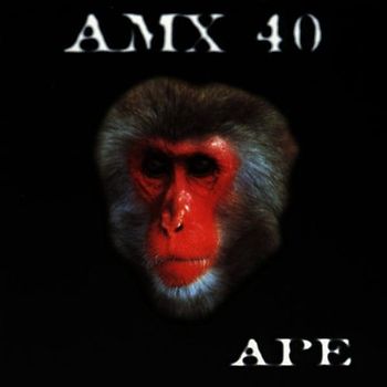 Amx 40 - Ape