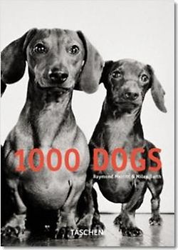1000 Dogs