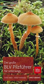 Der große BLV Pilzführer für unterwegs