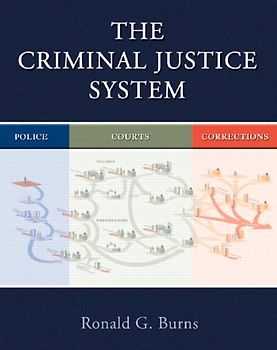 The Criminal Justice System
