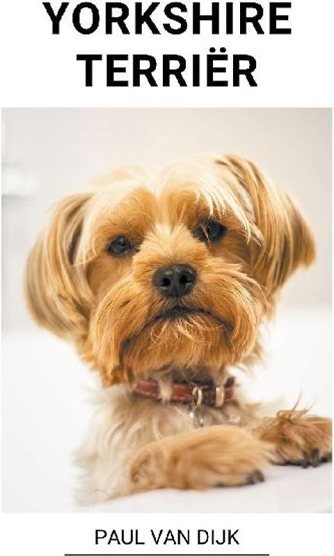 Yorkshire Terriër
