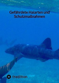 Gefährdete Haiarten und Schutzmaßnahmen