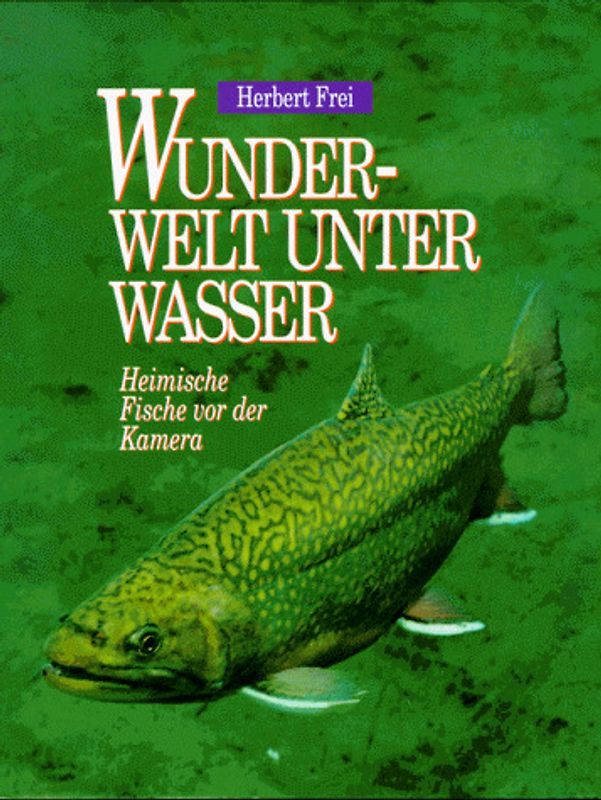 Wunderwelt unter Wasser. Einheimische Fische mit der Kamera eingefangen