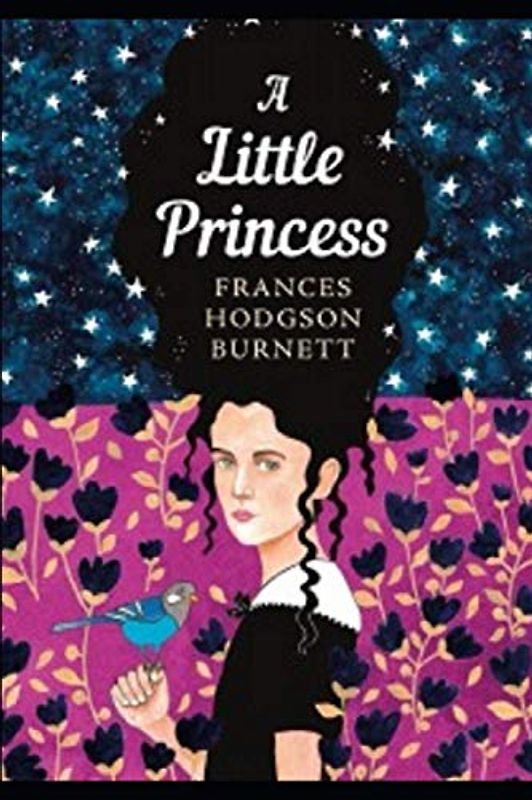 A Little Princess Illustrated