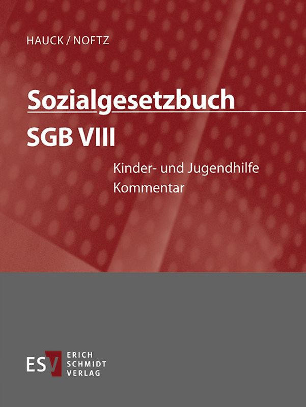 Sozialgesetzbuch (SGB) – Gesamtkommentar / Sozialgesetzbuch (SGB) VIII: Kinder- und Jugendhilfe - Abonnement Pflichtfortsetzung für mindestens 12 Monate