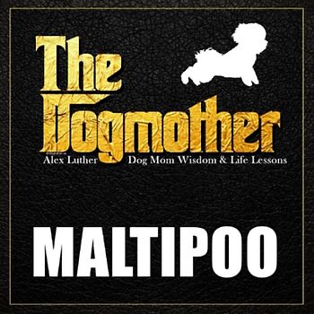The Dogmother: Maltipoo: (Dog Mom Wisdom & Life Lessons)