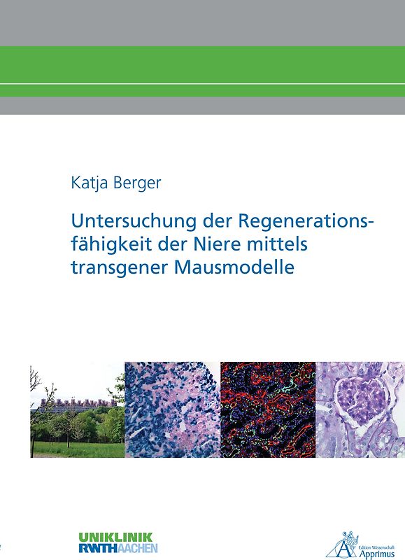 Untersuchung der Regenerationsfähigkeit der Niere mittels transgener Mausmodelle