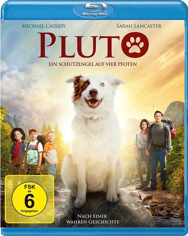 Pluto - Ein Schutzengel auf vier Pfoten Blu-ray Disc