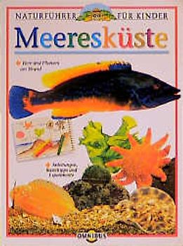 Meeresküste