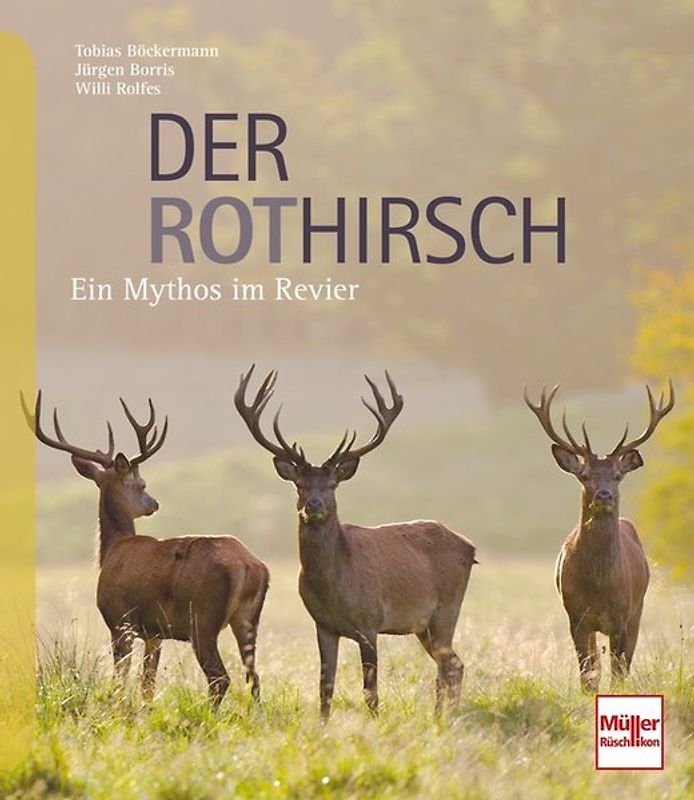 Der Rothirsch