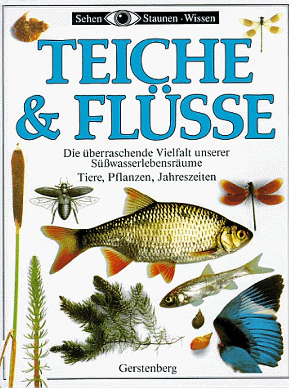 Teiche & Flüsse