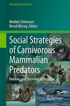 Social Strategies of Carnivorous Mammalian Predators