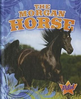 The Morgan Horse
