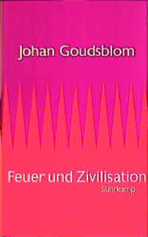 Feuer und Zivilisation
