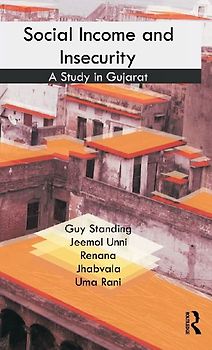 Social Income and Insecurity