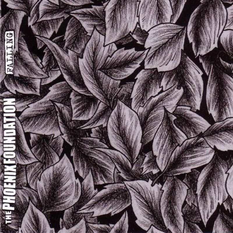 the Phoenix Foundation - Falling