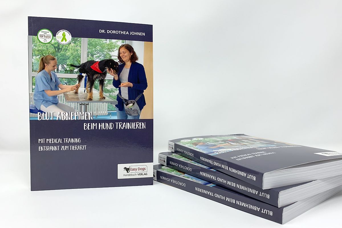 Blut abnehmen beim Hund trainieren