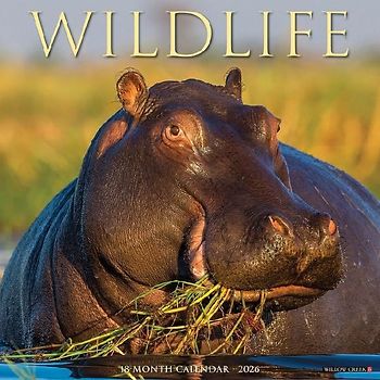 Wildlife 2026 12 X 12 Wall Calendar