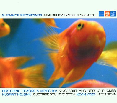 Various - Hi-Fidelity House: Imprint 3