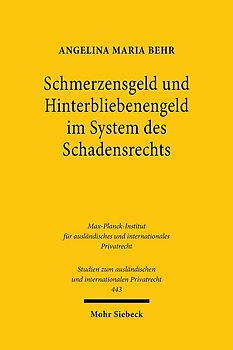 Schmerzensgeld und Hinterbliebenengeld im System des Schadensrechts