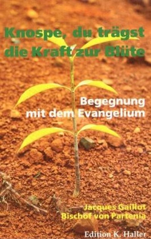Knospe, Du trägst die Kraft zur Blüte