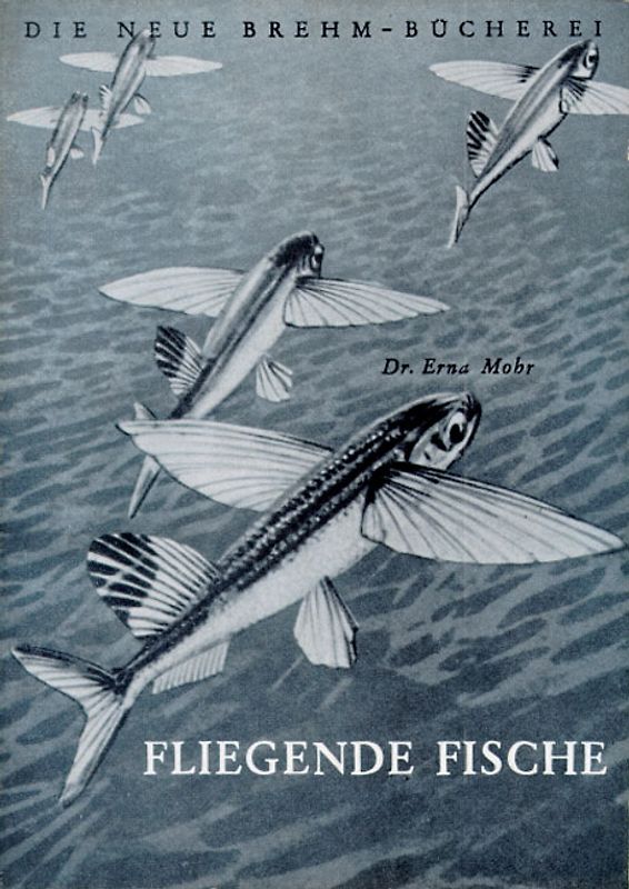 Fliegende Fische