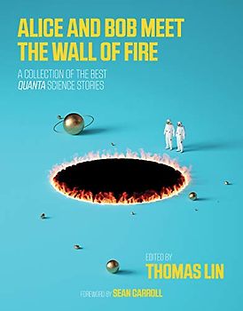 Alice and Bob Meet the Wall of Fire