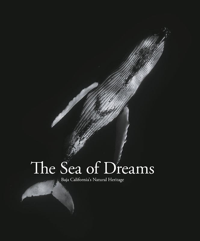 The Sea of Dreams