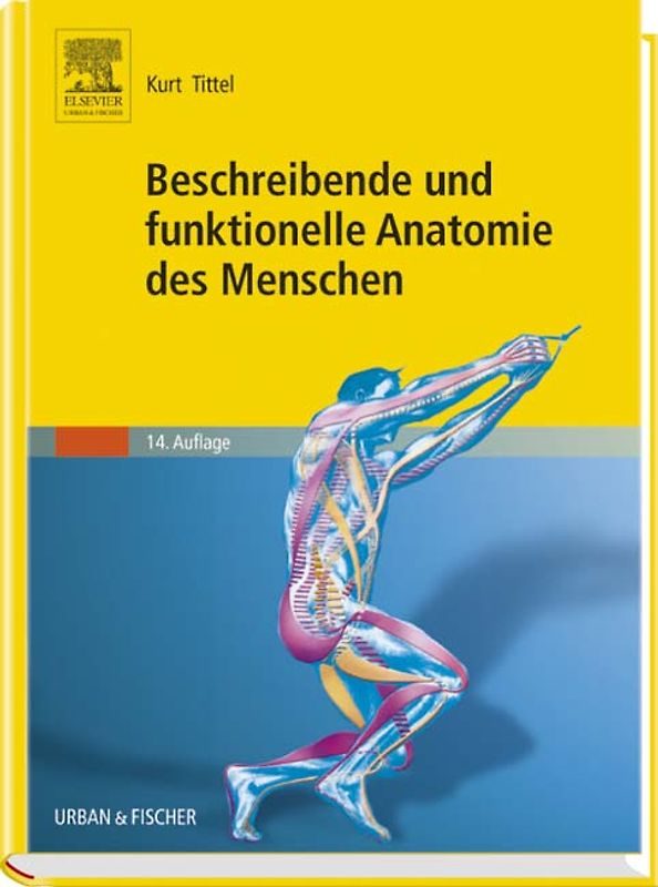 Beschreibende und funktionelle Anatomie des Menschen