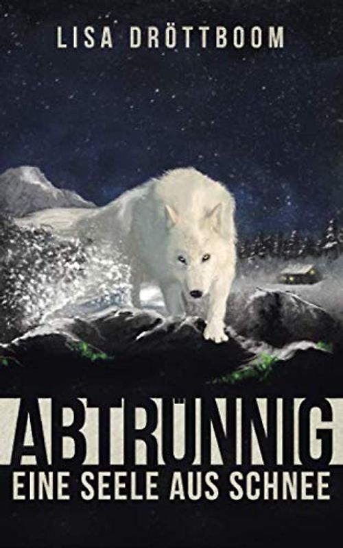 Eine Seele aus Schnee