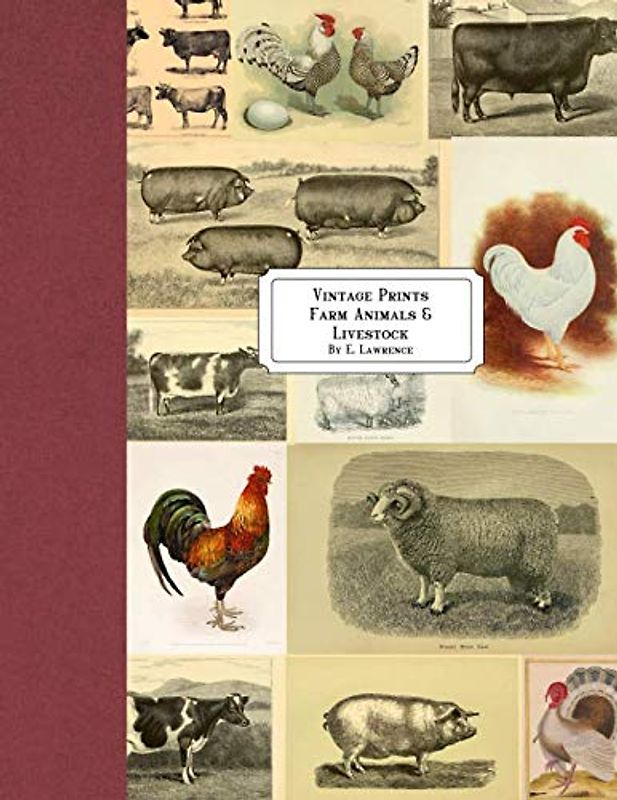 Vintage Prints: Farm Animals & Livestock