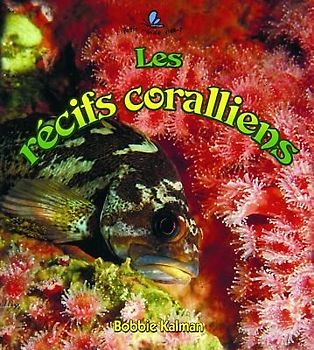 Les Récifs Coralliens (Coral Reef Food Chains)