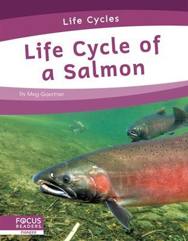 Life Cycle of a Salmon