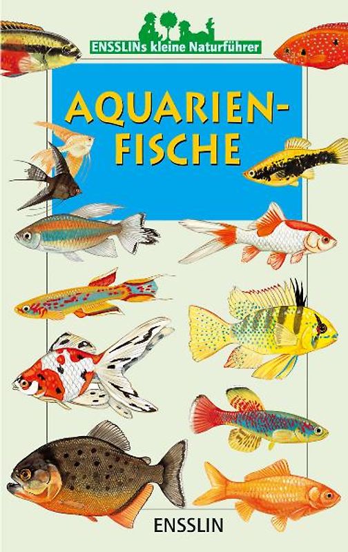Aquarienfische