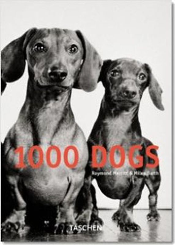 1000 Dogs