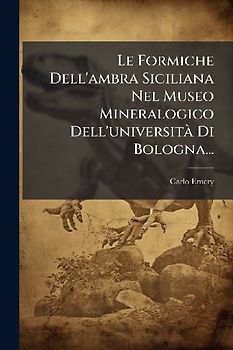 Le Formiche Dell'ambra Siciliana Nel Museo Mineralogico Dell'universitÃ Di Bologna...