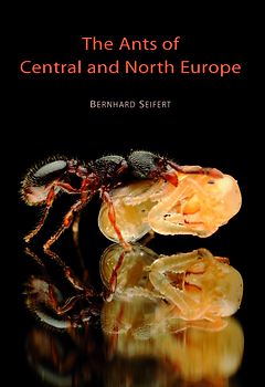 The Ants of Central and North Europe