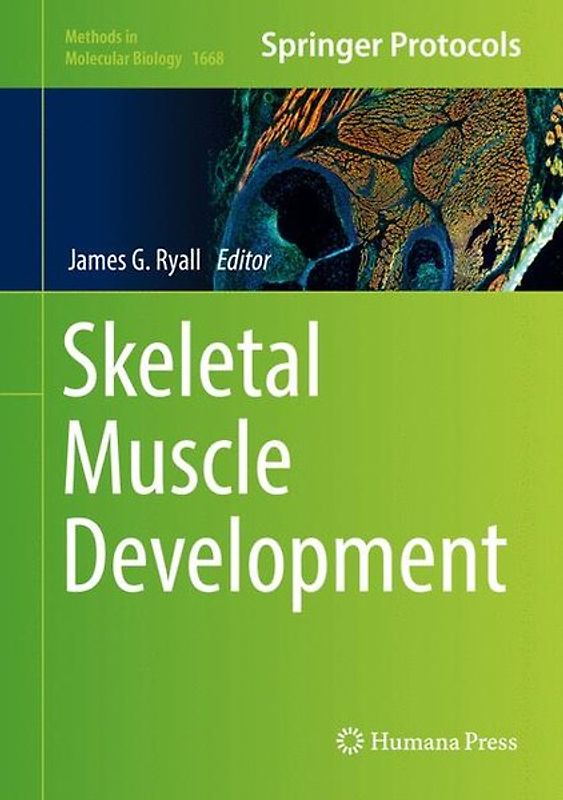 Skeletal Muscle Development
