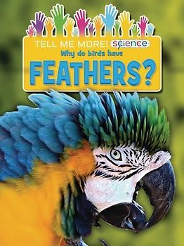 Why Do Birds Have Feathers?