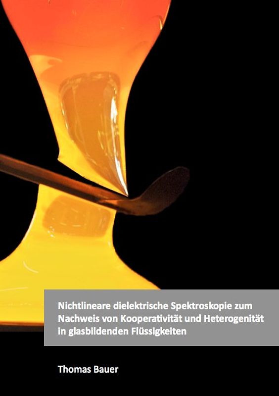 Nichtlineare dielektrische Spektroskopie zum Nachweis von Kooperativität und Heterogenität in glasbildenden Flüssigkeiten