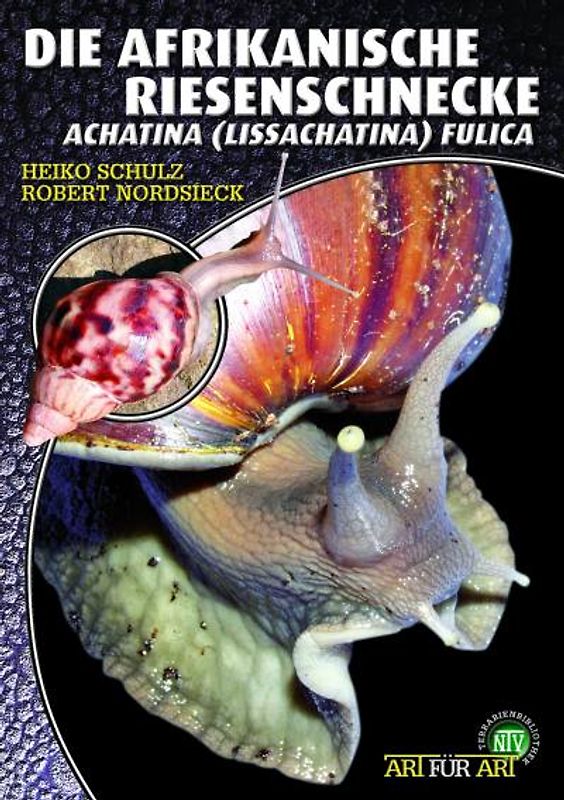 Die Afrikanische Riesenschnecke