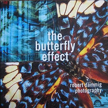 the butterfly effect