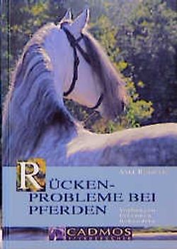 Rückenprobleme bei Pferden