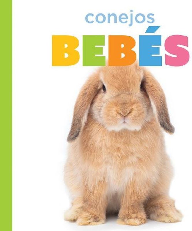 Conejos Bebés