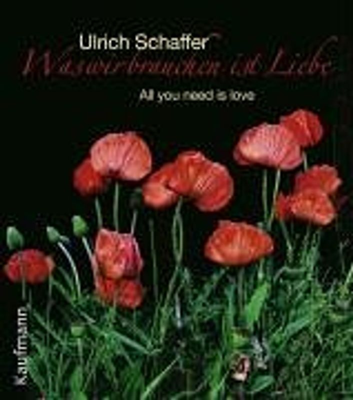 Was wir brauchen ist Liebe