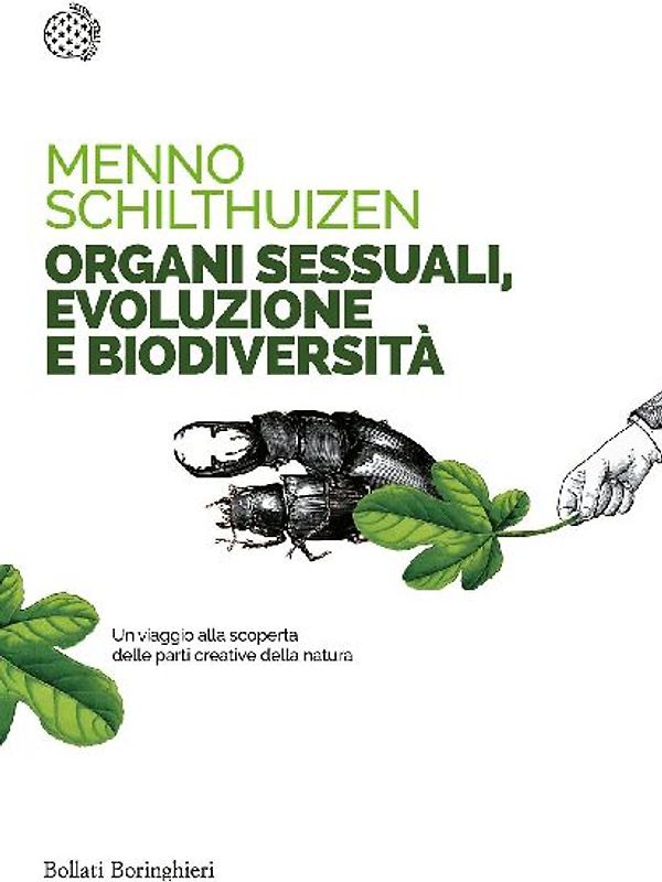 Organi sessuali, evoluzione e biodiversità