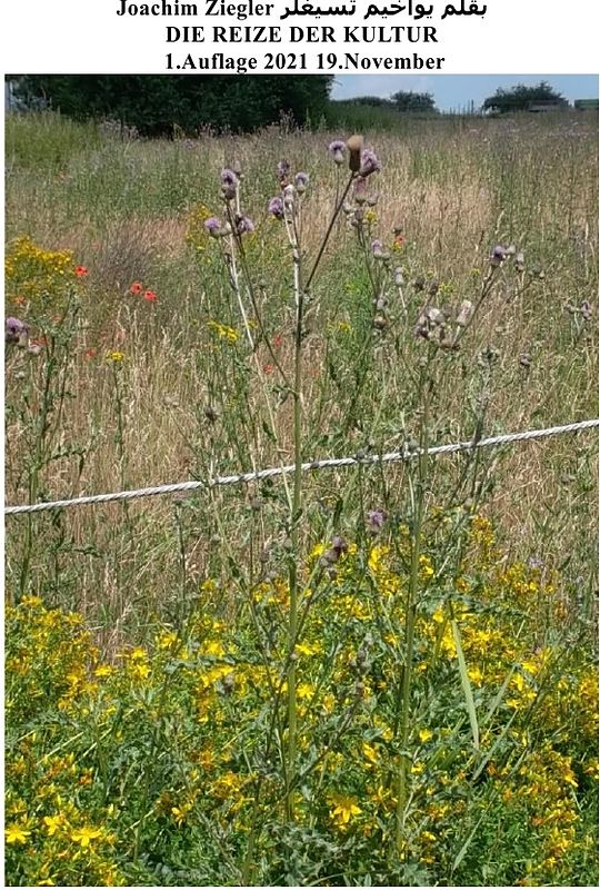 DIE REIZE DER KULTUR 1.Auflage 2021 19.November