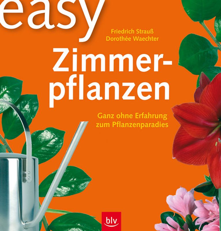 Easy Zimmerpflanzen